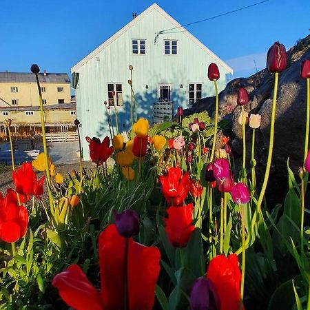 Bed and Breakfast Lysvoldbrygga Henningsvær Exterior foto