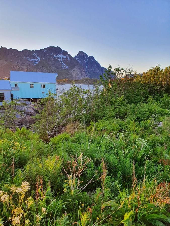 Bed and Breakfast Lysvoldbrygga Henningsvær Exterior foto